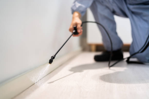 Licensed Mosquito Control service in Oakridge, OR - Show Me Pest Control