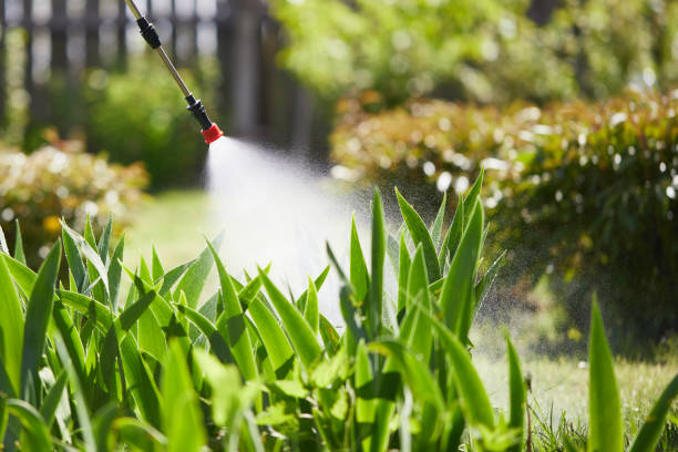 24/7 Emergency Mosquito Control experts in Oakridge, OR