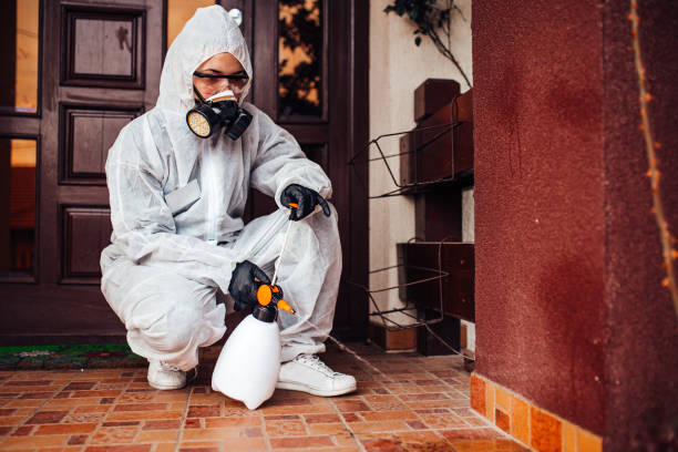 Reliable Mosquito Control contractor in Oakridge, OR by Show Me Pest Control