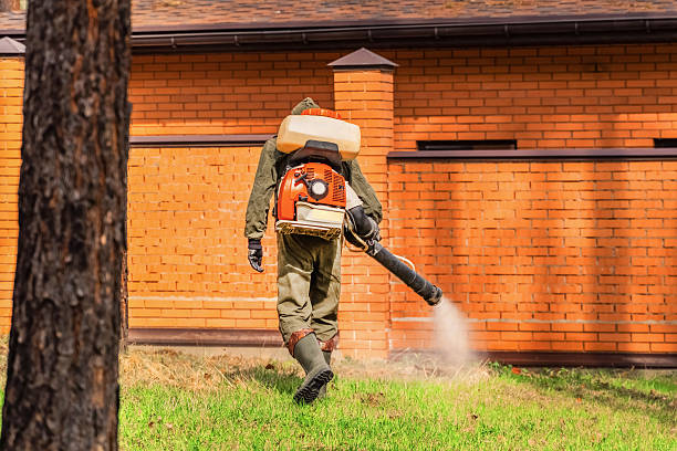 Top rated local Mosquito Control specialists in Oakridge, OR